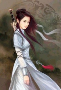全能女婿